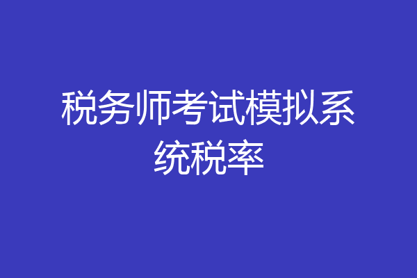 税务师考试模拟系统税率