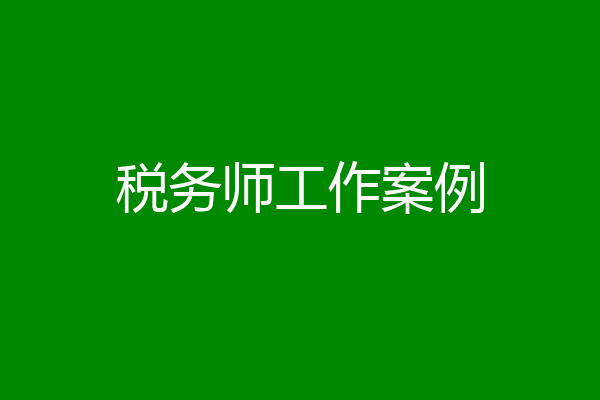 税务师工作案例