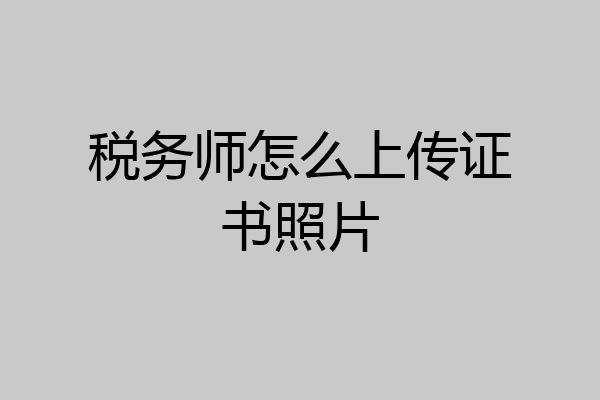 税务师怎么上传证书照片