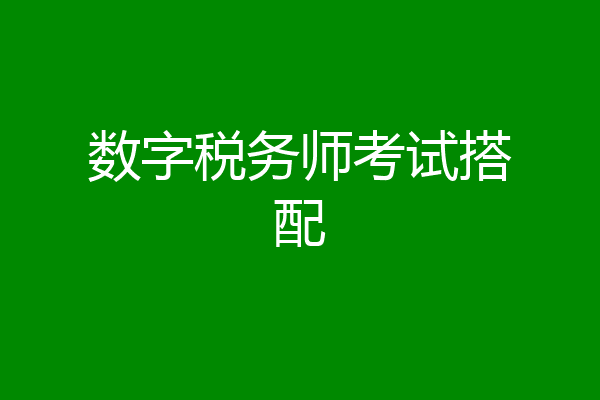 数字税务师考试搭配