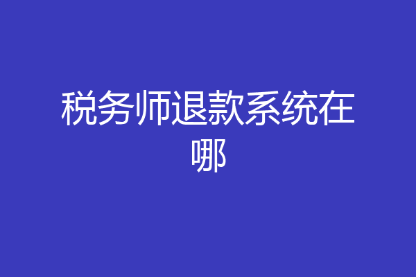 税务师退款系统在哪