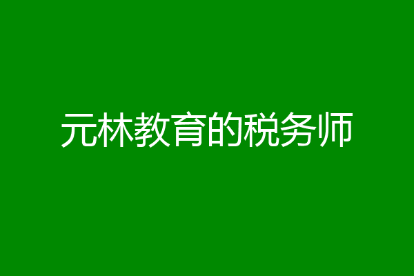 元林教育的税务师