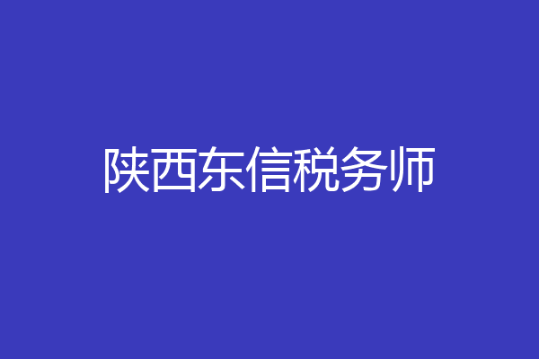 陕西东信税务师