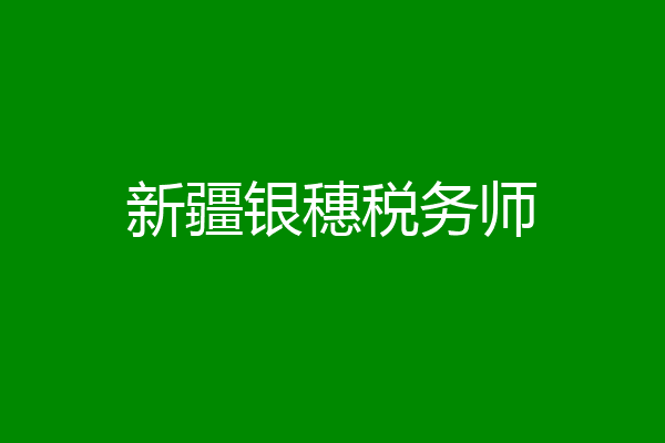 新疆银穗税务师