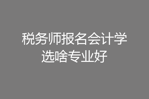 税务师报名会计学选啥专业好