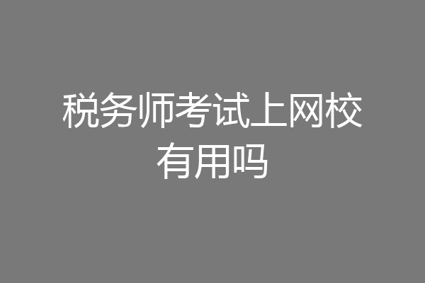 税务师考试上网校有用吗