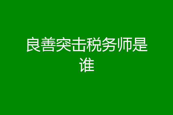 良善突击税务师是谁