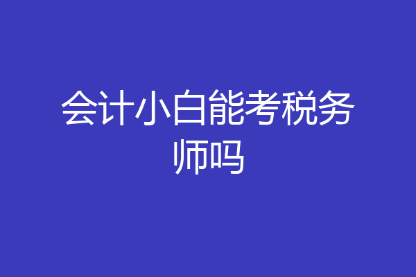会计小白能考税务师吗