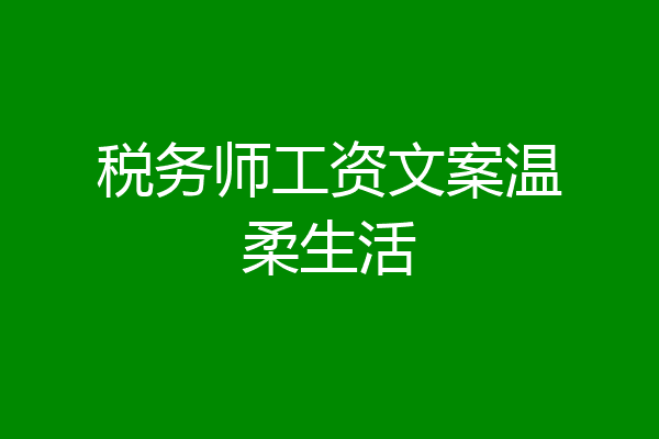 税务师工资文案温柔生活
