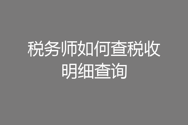 税务师如何查税收明细查询