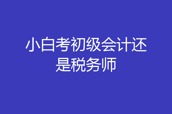 小白考初级会计还是税务师