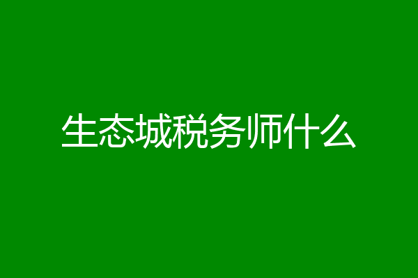 生态城税务师什么