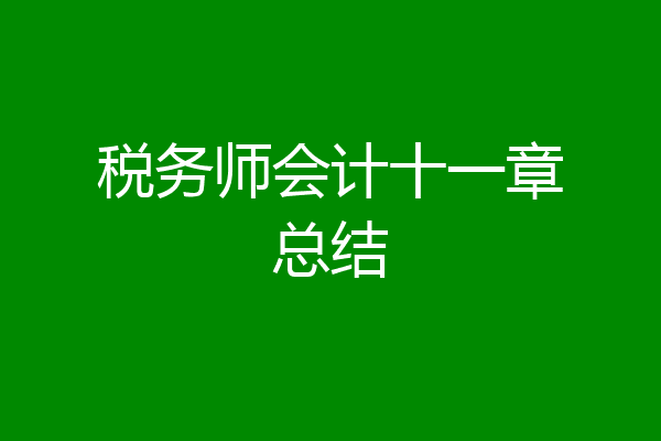 税务师会计十一章总结