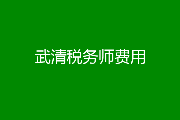 武清税务师费用