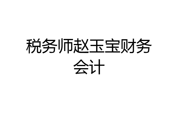税务师赵玉宝财务会计