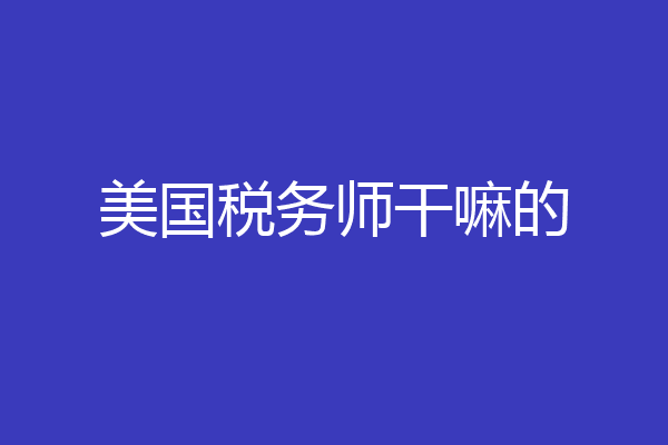 美国税务师干嘛的