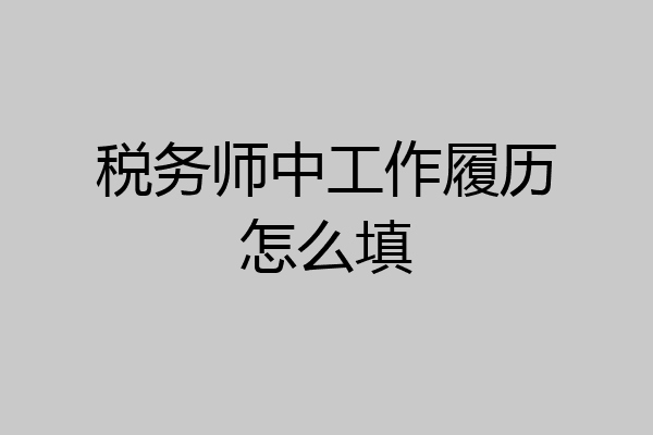 税务师中工作履历怎么填