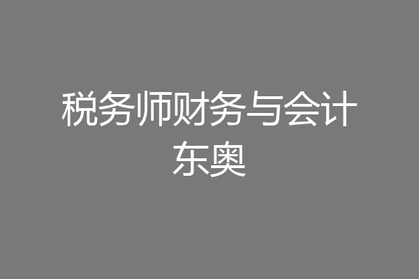 税务师财务与会计东奥