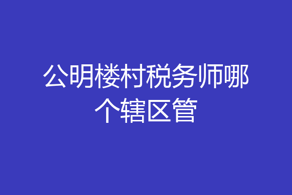 公明楼村税务师哪个辖区管