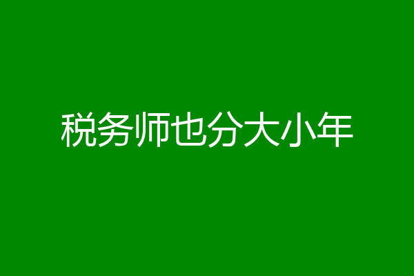 税务师也分大小年