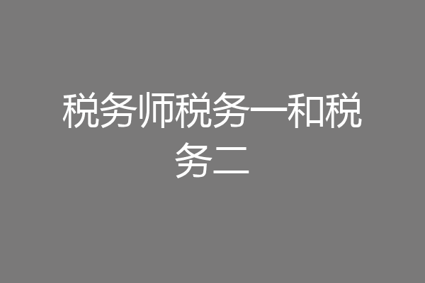 税务师税务一和税务二
