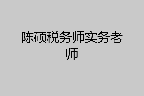 陈硕税务师实务老师