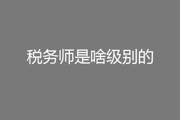 税务师是啥级别的