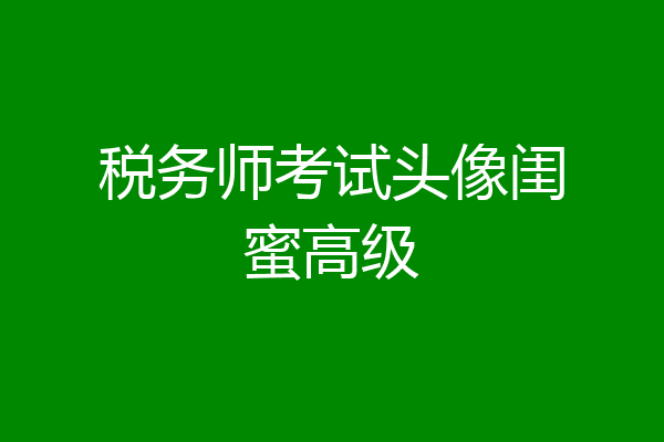 税务师考试头像闺蜜高级