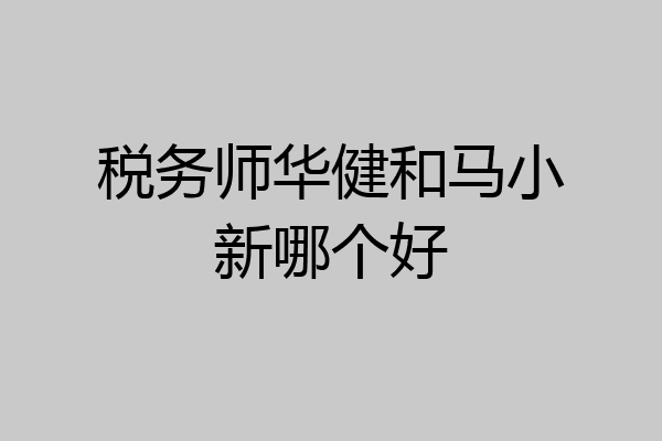 税务师华健和马小新哪个好