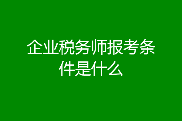 企业税务师报考条件是什么