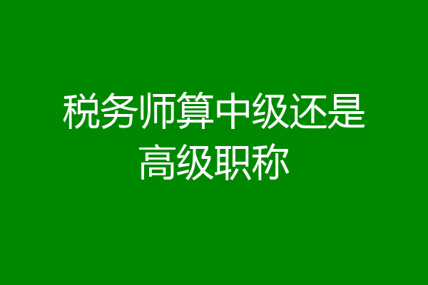 税务师算中级还是高级职称