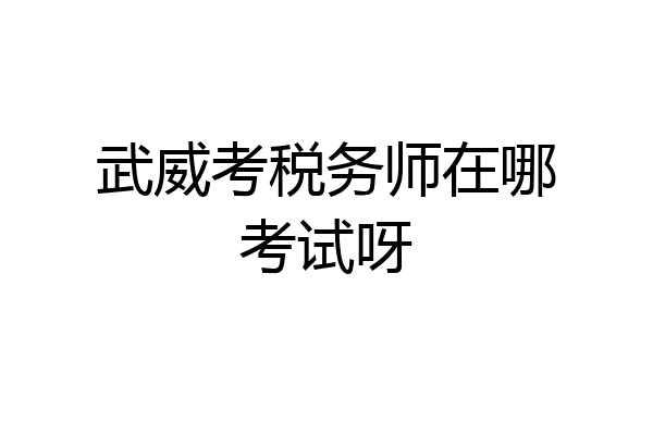 武威考税务师在哪考试呀
