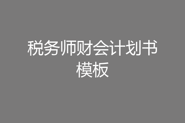税务师财会计划书模板