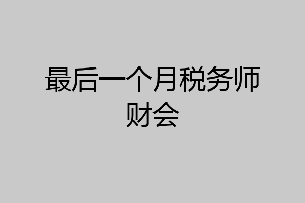 最后一个月税务师财会