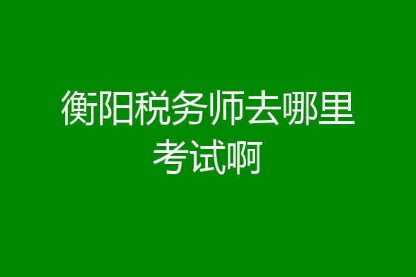衡阳税务师去哪里考试啊