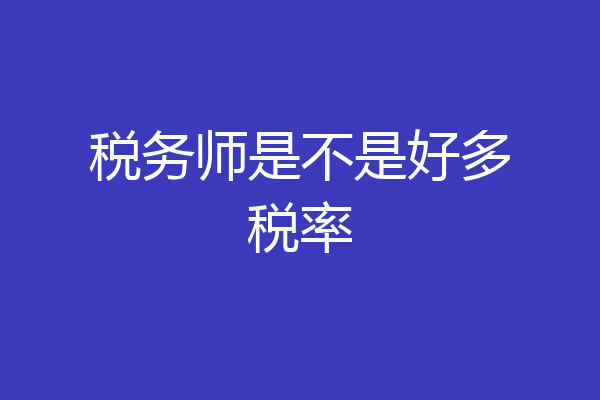 税务师是不是好多税率