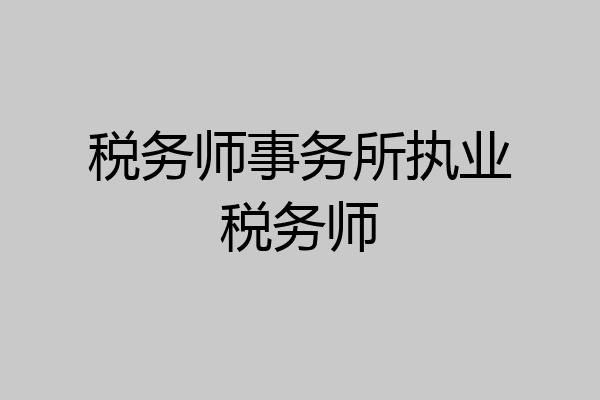 税务师事务所执业税务师