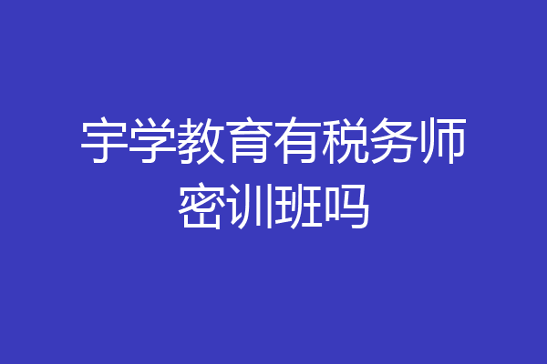宇学教育有税务师密训班吗