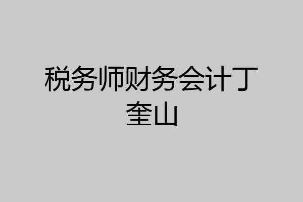 税务师财务会计丁奎山