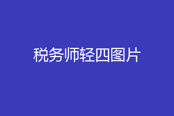 税务师轻四图片