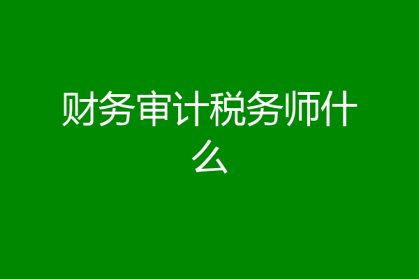 财务审计税务师什么