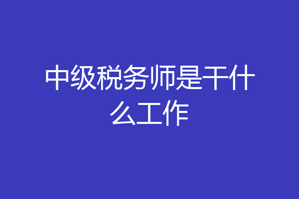 中级税务师是干什么工作