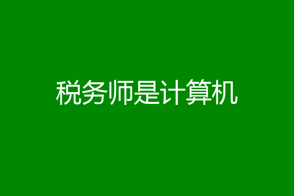 税务师是计算机