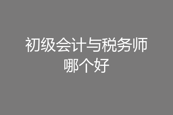 初级会计与税务师哪个好