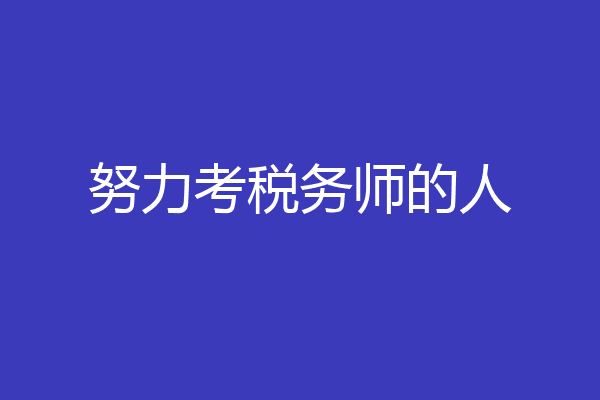 努力考税务师的人