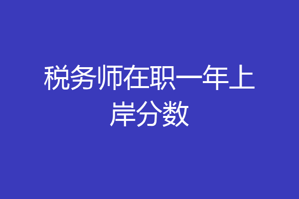 税务师在职一年上岸分数
