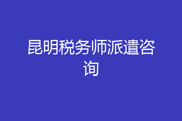 昆明税务师派遣咨询