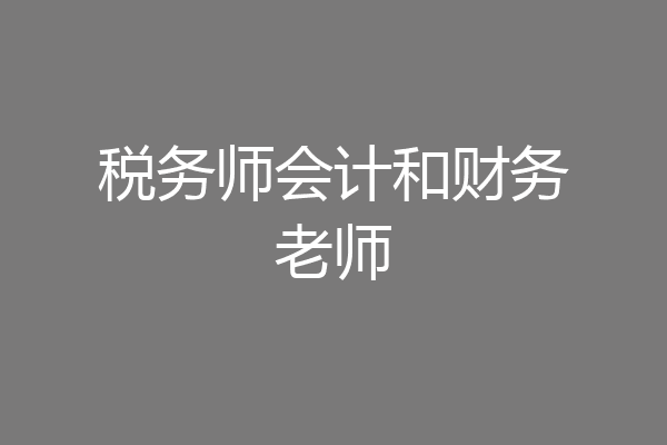税务师会计和财务老师