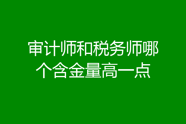 审计师和税务师哪个含金量高一点