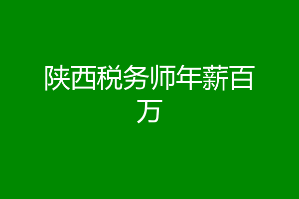 陕西税务师年薪百万